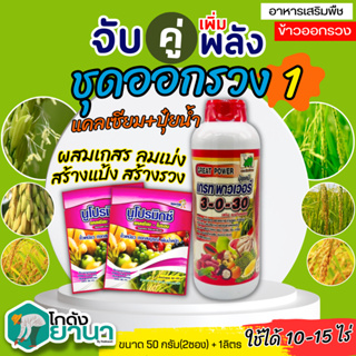 🌾 ชุดออกรวง1 เกรทพาวเวอร์ (3-0-30)+นูโปรมิกซ์-แคลเซียมโบรอน ขนาด 1ลิตร+50กรัมx2ซอง ใบเขียว สร้างอาหาร สะสมอาหาร