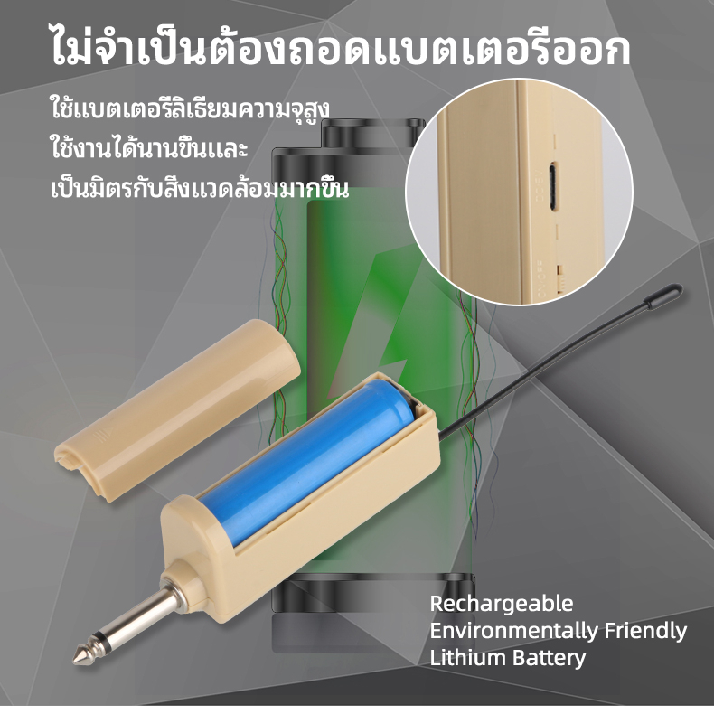 RAYHAYES ไมโครโฟนไร้สาย Original Dual Handheld Professional ไมโครโฟนคาราโอเกะพร้อมตัวรับสัญญาณ
