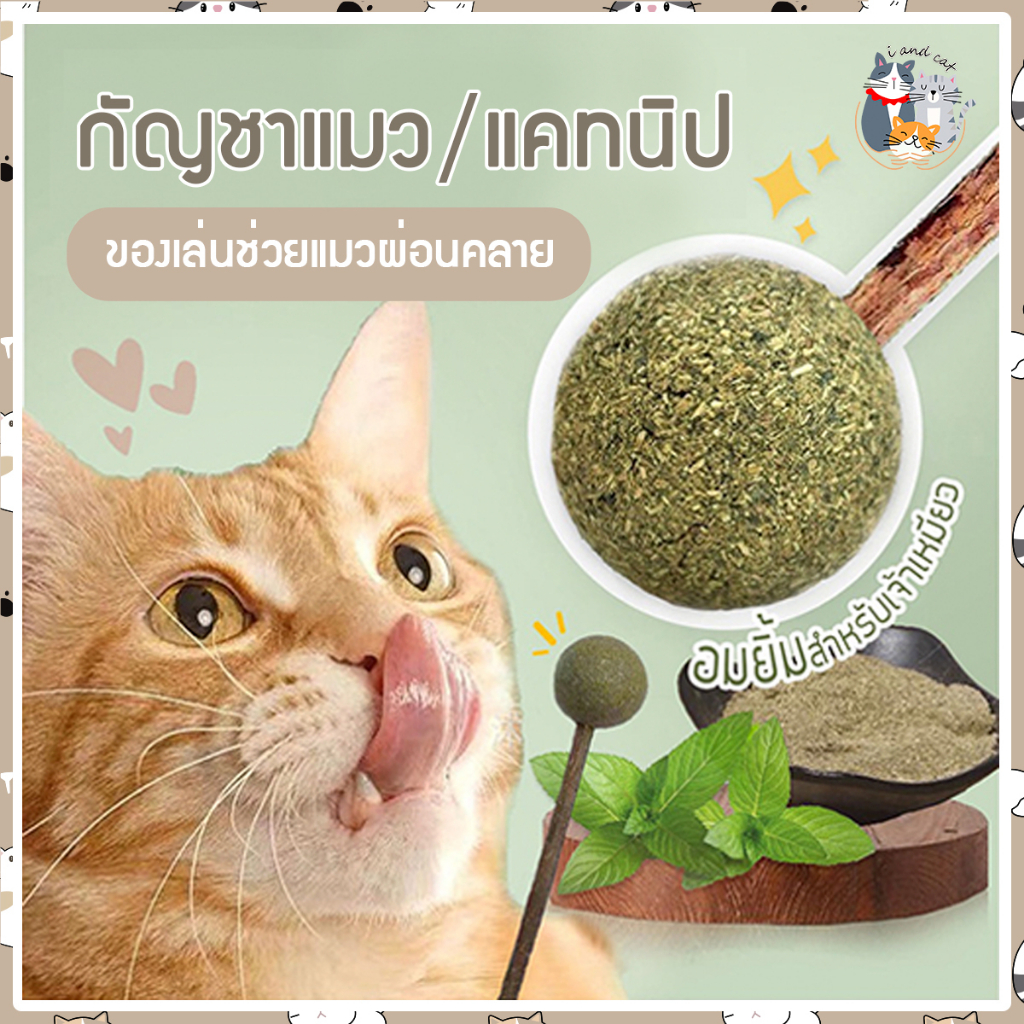 I&CAT กัญชาแมว/แคทนิปสำหรับแมว อมยิ้มแคทนิป แคทนิป เสียบไม้มาทาทาบิ สมุนไพรแมวผสมใบมิ้นท์ กัญชาแมว