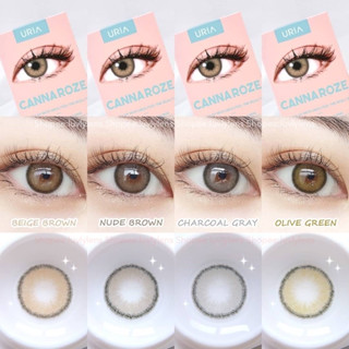 ใหม่!! Roze IDOLLENS (รายปี) สีBeige Nude Olive (ของแท้แน่นอน)