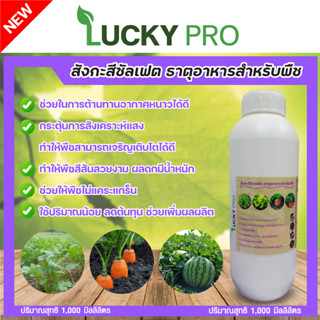 สังกะสีซัลเฟต1000ML.ป้องกันอาการใบแก้วใบลายกระตุ้นการแตกตาสังเคราะห์แสงLUCKY PROปุ๋ยน้ำสูตรเข้มข้นใช้นิดเดียว