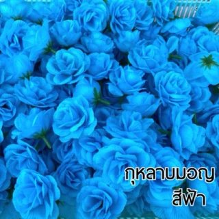 ดอกกุหลาบมอญ (บาน) สีล้วน ถุงละ 50/100 ดอก