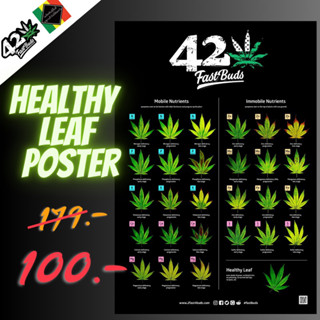 Healthy Leaf Poster - Fastbuds ขนาด 42x60 ซม.