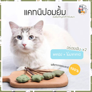 I&amp;CAT อมยิ้มแคทนิป ลูกบอลแคทนิป เสียบไม้มาทาทาบิ สมุนไพรแมว กัญชาแมว ขนมแมวเลีย ของเล่นแมว แคทนิปเสียบไม้ แคทนิปแท่ง ขนม