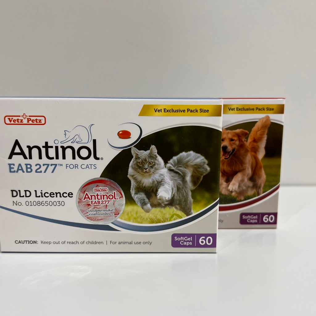 Antinol®️ EAB 277™ for Dogs and Cats