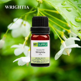 Aroma Oil Wrightia 10ml. (ดอกโมกข์)