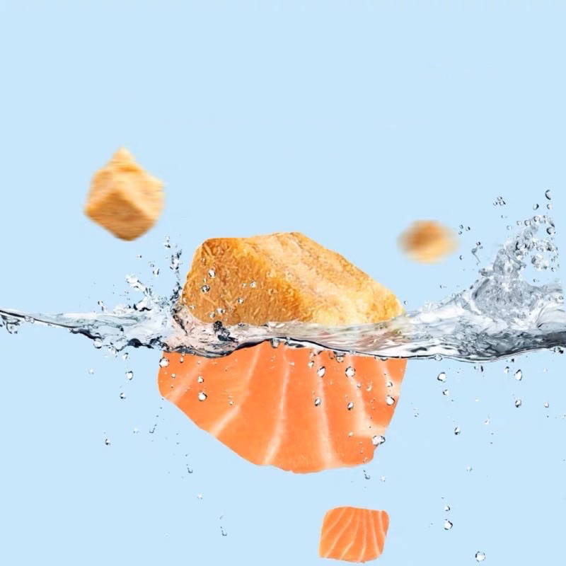 แซลมอนฟรีซดราย Freeze-dried salmon อาหารเต่า ขนมแมว ขนมสุนัข 10g.