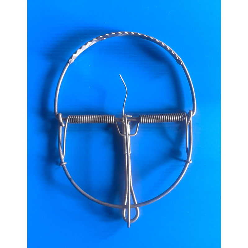 กับดักหนูแบบมีฟันขนาด 6 นิ้ว 1 ชิ้น - รูปที่ 3