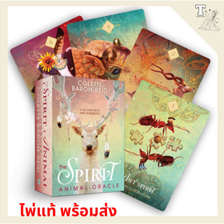 ไพ่แท้ พร้อมส่ง The Spirit Animal Oracle : A 68-Card Deck and Guidebook by Colette Baron-Reid 9781401952792 ออราเคิล