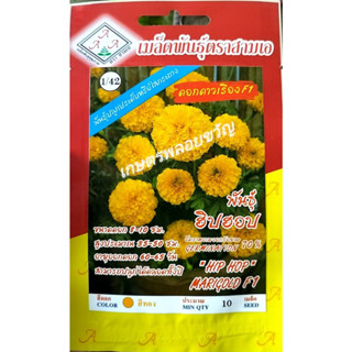 ดอกดาวเรือง ดาวเรือง🏵️ฮิปฮอป🏵️สิ้นอายุทำพันธุ์05/2567📌(7เมล็ด)ไม้ดอก ไม้ประดับ เหมาะแก่การปลูกไร่แมลงในแปลงผักมาก