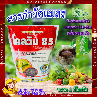 โกลวิน 85  ขนาด 1 กิโลกรัม  🍃 คาร์บาริล 85 % WP 🍃 ยากำจัดแมลง เพลี้ย ยาฆ่าหนอน กำจัดหนอน ปลวก มด สำหรับ : พืชผัก ไม้ผล แ