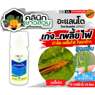 🥬 อะแลนโต (ไทอะโคลพริด) บรรจุ 100มิลลิลิตร ใช้ในการป้องกันกำจัดเพลี้ยไฟในนาข้าว