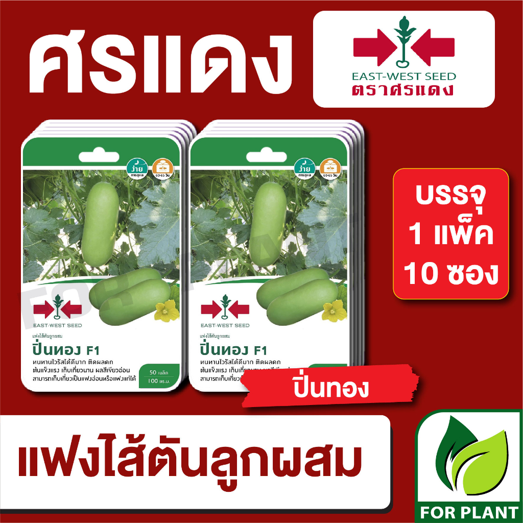เมล็ดพันธุ์ผัก ผักซอง แฟง ปิ่นทอง F1 ตราศรแดง บรรจุแพ็คละ 10 ซอง