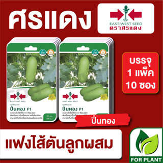 เมล็ดพันธุ์ผัก ผักซอง แฟง ปิ่นทอง F1 ตราศรแดง บรรจุแพ็คล่ะ 10 ซอง ราคา 230 บาท