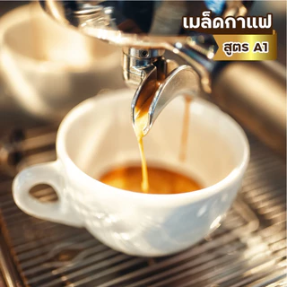 เมล็ดกาแฟดอยช้าง เมล็ดกาแฟอราบิก้า ARABICA100% สูตรคั่วกลาง A1 ให้ความหอมนุ่มเป็นพิเศษ ขนาด 250 g.