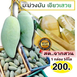 มะม่วงมันเขียวเสวย แพ็ค 1 กล่อง 5 โล 200บ.