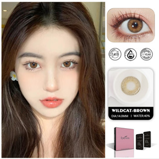 【✅ส่งไวจากไทย】ลายฮิต ขายดีมาก Eyeshare WILDCAT Series Brown หวาน คอนแทคเลนส์ เฉดสีพาสเทล 14.0มม.1คู่ คอนแทคเลนส์แห่งปี