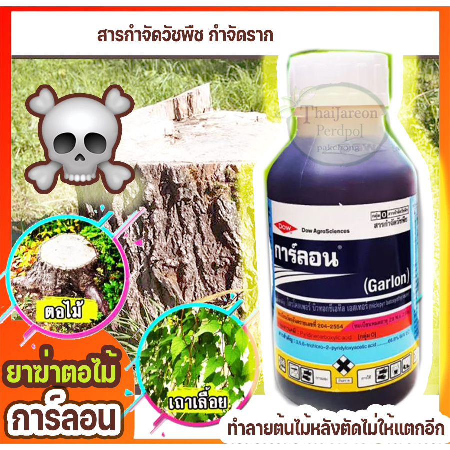 การ์ลอน 500 / 100 CC กำจัดตอและรากไม้ ทำลายตอไม้ ราก วัชพืช ตอกระถิน