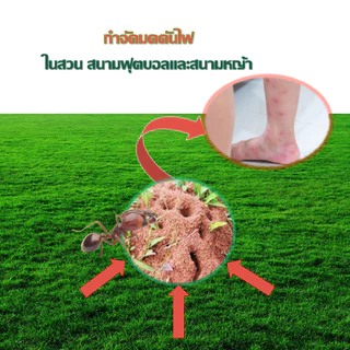 ผลิตภัณฑ์กำจัดมดคันไฟ ฆ่ามดคันไฟ ไล่แมลง มีส่วนผสมของนำ้ส้มควันไม้ กำจัดมด นำ้ส้มควันไม้