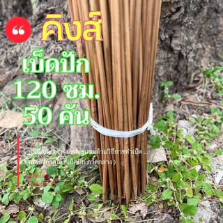 เบ็ดปักคันนา 120 ซม. 50 คัน เบ็ดไม้ไผ่ เบ็ดธงเบ็ดปัก เบ็ดปักคันโค้ง (เบ็ด120ซม50คัน)