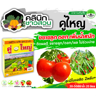 🥬 คู่ใหญ่ (อะมิโนแอซิด) บรรจุ 1ชุด ขยายลูก ดอก เพิ่มน้ำหนัก