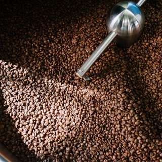 🔥 กาแฟดอยสามหมื่น (Doi sam muen) จังหวัดเชียงใหม่ อาราบิก้า 100% กาแฟคั่วใหม่ Simply Coffee Roasters