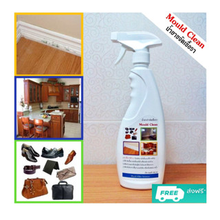 Mould Clean: Mold mildew and fungus killer for leatherware woodware and sanitary ware