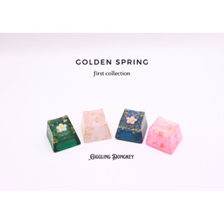 ปุ่มกดคีย์บอร์ด คีย์แคป keycap - golden spring