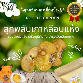 [Paws-sible] Rodent Garden : premium Korean Persimmon ผักอบแฮมเตอร์ ผักอบแฮมสเตอร์ hamster food