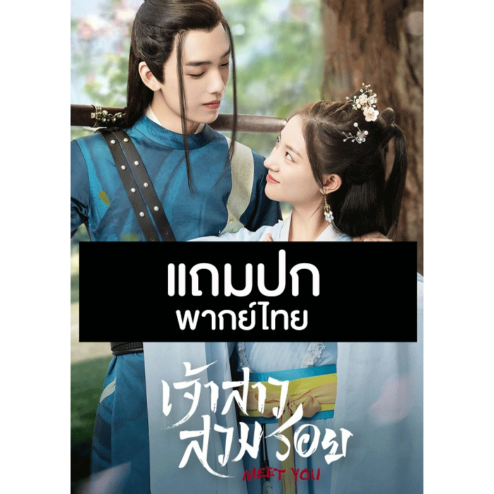 DVD ซีรี่ย์จีน เจ้าสาวสวมรอย Meet You (2021) ซับไทย/พากย์ไทย (แถมปก)