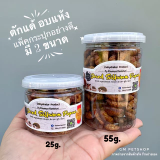 แมลงอบแห้ง หนอนอบแห้ง หนอนนก จิ้งหรีด สะดิ้ง ดักแด้ l อาหารแฮมเตอร์ แพรี่ด็อก ชูการ์ นก