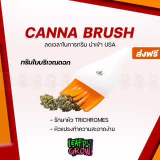 [ส่งฟรี] Canna Brush แปรงทริมดอก นำเข้า USA แท้ 100% แปรงทริม รักษาไตรโคม