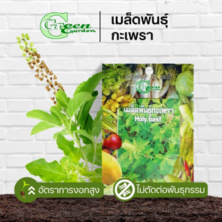 เมล็ดพันธุ์กะเพรา (Holy basil) Green Garden