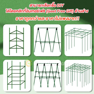 ไม้ค้ำยันต้นไม้ หลักไม้ค้ำ เสามะเขือเทศ ยาว 60-180 ซม. หนา 8-16 มม. ซุ้มไม้ ไม้ค้ำต้นไม้ สำหรับยางอินเดีย ✨ทนทาน กันปลวก