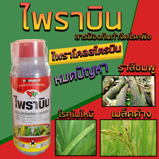 ไพราบิน ไพราโคลสโตรบิน สารป้องกันกำจัดโรคพืช โรคที่มีสาเหตุมาจากเชื้อรา โรคเมล็ดด่าง โรคใบไหม้ ขนาด 500 ซีซี