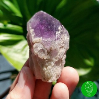 ผลึกอีเลสเทียวอเมทิสต์​ควอตซ์ (Elestial Amethyst Point from Brazil)