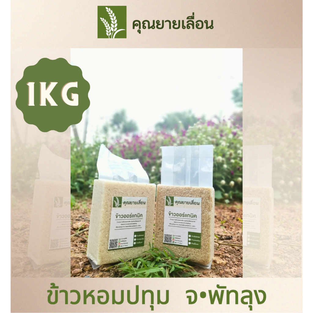 🌾ข้าวหอมปทุม (ขนาด 1 กิโล) ชนิดกล้อง-ขาว 🌾ข้าวออแกนิก100% 🔥ข้าวใหม่สีข้าวได้ทุกวัน 👨‍🌾 จากเกษตรกรบ้านหน้าวัง พัทลุง