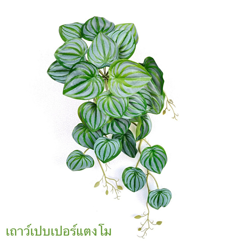 เถาวัลย์ประดิษฐ์ ตกแต่งวางตั้งโต๊ะ เถาวัลย์พร้อมกระถางแถมหิน ราคา ถูกที่สุด ดีลบีเคเค แกลเลอรีภาพที่ 9