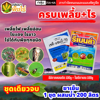 🌽 ชุดกำจัดเพลี้ย+ไร เจทีแชมป์+รีเบนล่า (อิมิดาคลอพริด+ไพริดาเบน) 100กรัม+100กรัม กำจัดเพลี้ยและไรทุกชนิด