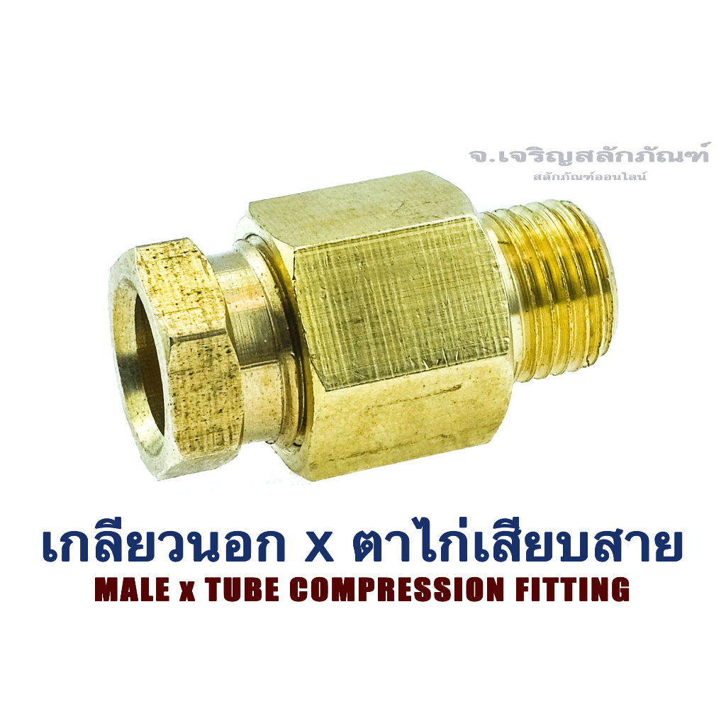 ข้อต่อตรงทองเหลืองเกลียวนอก x ตาไก่เสียบสาย  Tube Compression Fitting x Pipe Thread (Male), Brass Fi