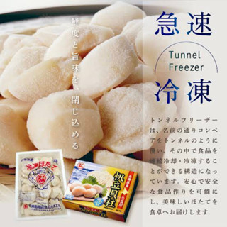 หอยเชลล์ญี่ปุ่น SIZE S 1KG/PC / HOTATE (JAPANESE SCALLOP MEAT)