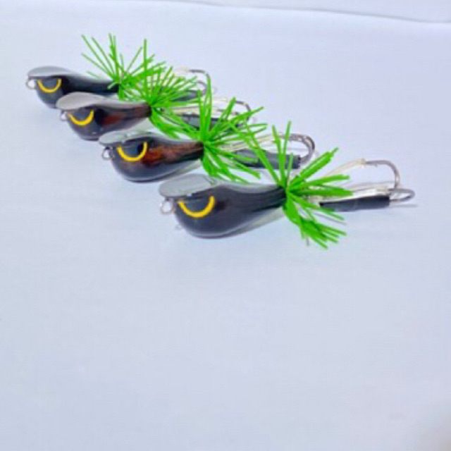 กบคิ้วกบกระโดดทรงคิ้วขนาด3เซน ค่ายกบเกษม