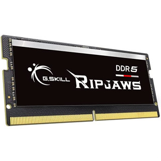 DDR5 G.SKILL Ripjaws 16GB 4800 Mhz (1x16GB) (CL 34-34-34-76) For Notebook รับประกัน Lifetime ศูนย์ไทย