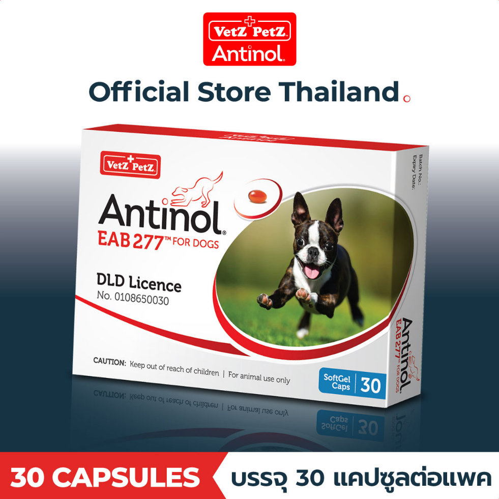 [Official Store] แอนทินอล Antinol® EAB 277™ 30 แคปซูล