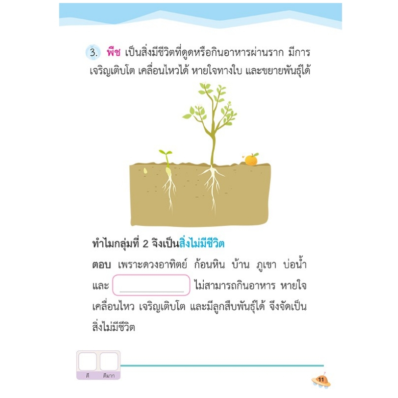 คู่มือ ป.1 ทบทวนเนื้อหา+แบบฝึกหัดเตรียมสอบ คู่มือเตรียมสอบภาษาไทย ป.1 คู่มือเตรียมสอบวิทยาศาสตร์ ป1 misbook เป็ดน้อย