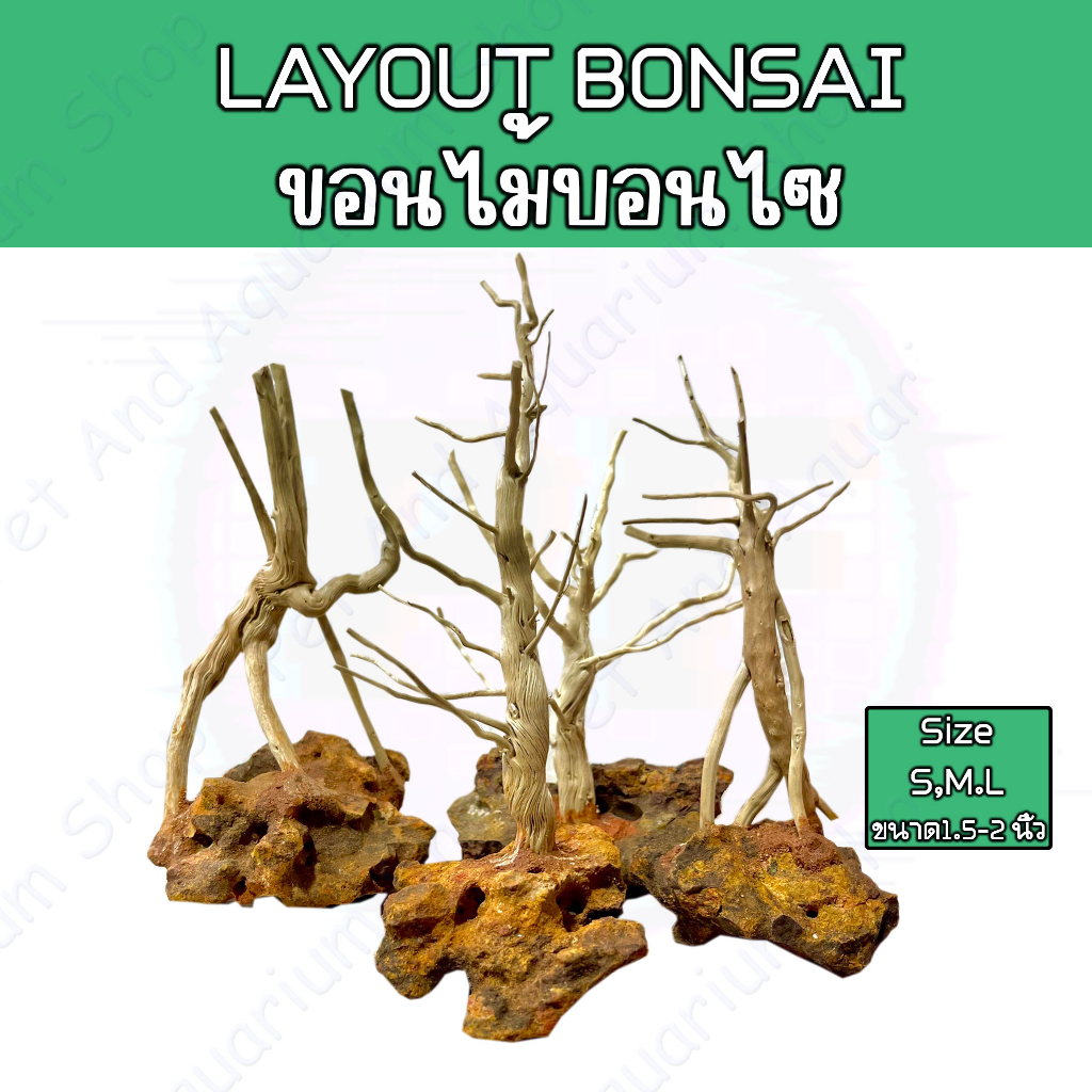 driftwood bonsa Layout ขอนบอนไซ Size S,M,L สำหรับตั้งตู้ไม้น้ำ ตกแต่ง ไม้ติดหิน