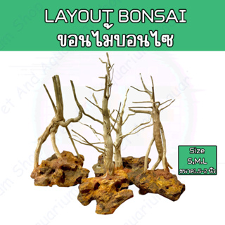 driftwood bonsa Layout ขอนบอนไซ Size S,M,L สำหรับตั้งตู้ไม้น้ำ ตกแต่งตู้ ขอนไม้ Bonsai ตู้ไม้น้ำ ตู้ปลา พรรณไม้น้ำ บอนไซ
