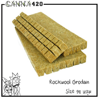 Rockwool แบบแผ่น 98 หลุม เพาะปลูกต้นกล้าเมล็ดพันธ์ุ เพาะชำ ไฮโดรโปนิกส์ ROCKWOOLS