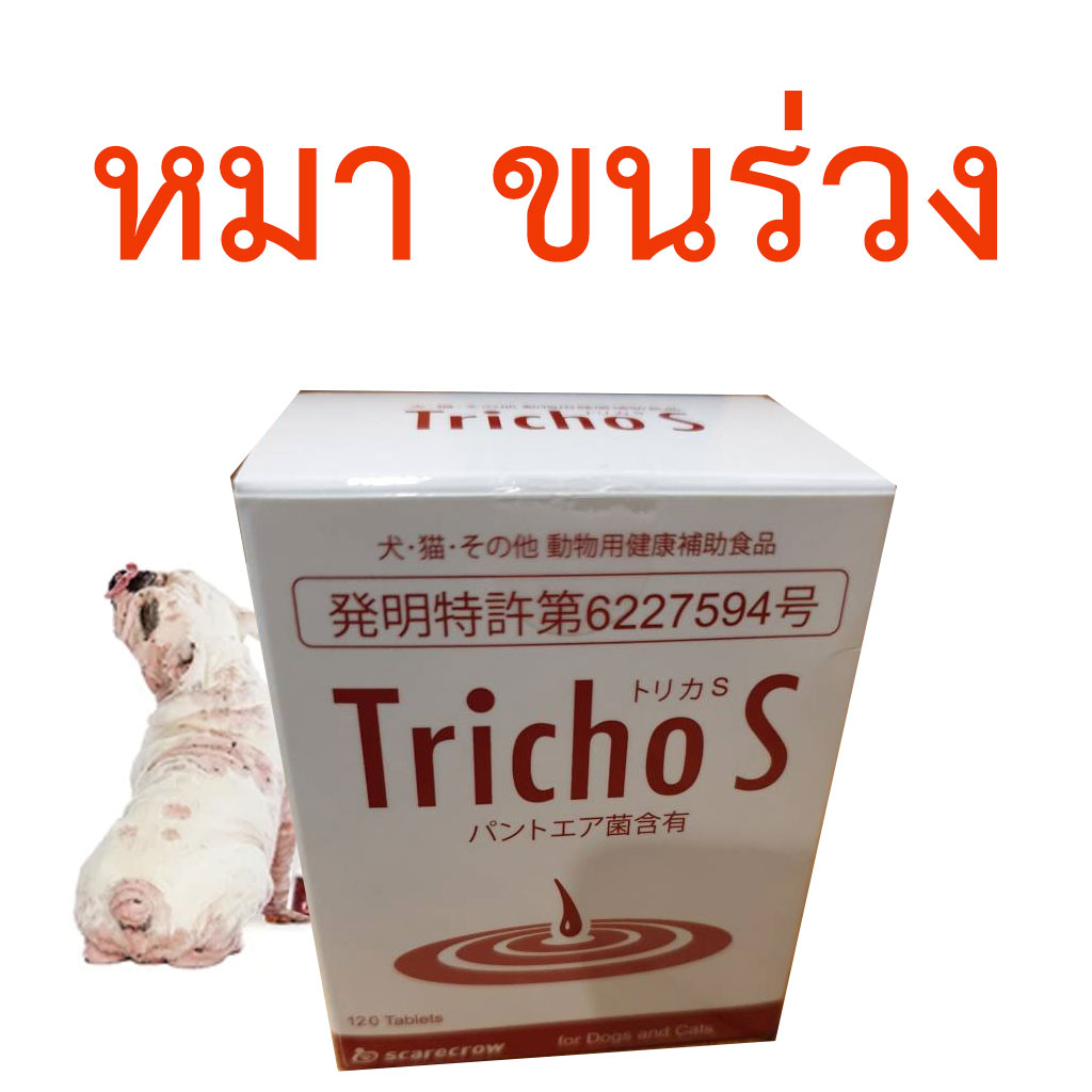 สุนัขขนร่วง ของแท้ Tricho S ไตรโค เอส สำหรับสุนัขลดขนร่วง Alopicia X และ Black skin 120 เม็ด