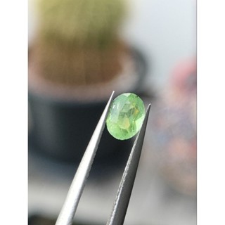 พลอย กรีนทัวร์มาลีน 0.48 กะรัต
( Green Tourmaline ) ✨